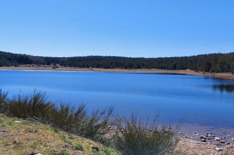 Du Finiels à l'étang de Barrandon VTT N°16 Mont Lozère et Goulet Occitanie