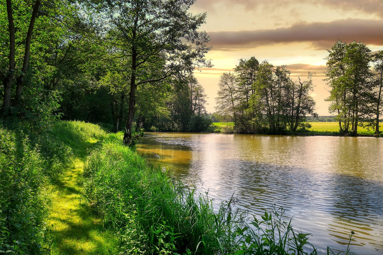 Semineau Saint-Saturnin Centre-Val de Loire