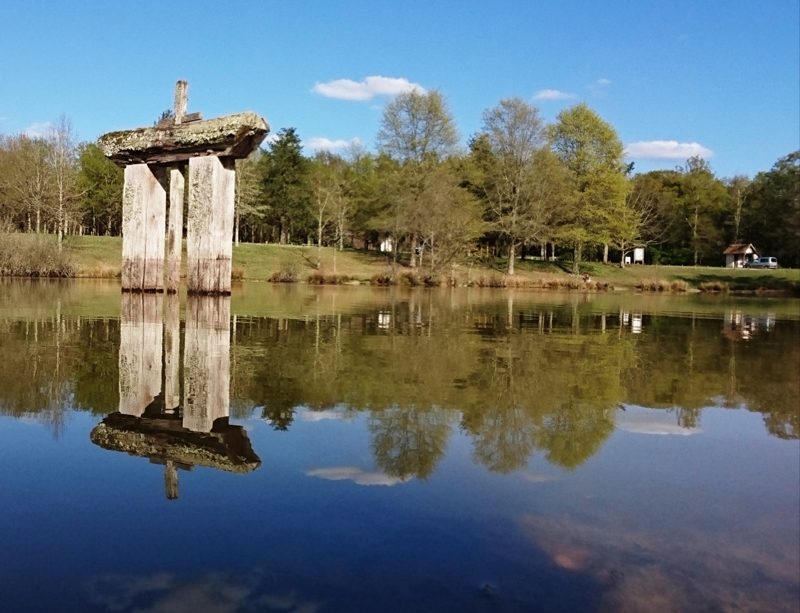 Les étangs de Sologne (circuit libre) Saint-Viâtre Centre-Val de Loire