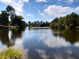 Ychoux en écorando Circuit de l'étang des Forges Ychoux Nouvelle-Aquitaine