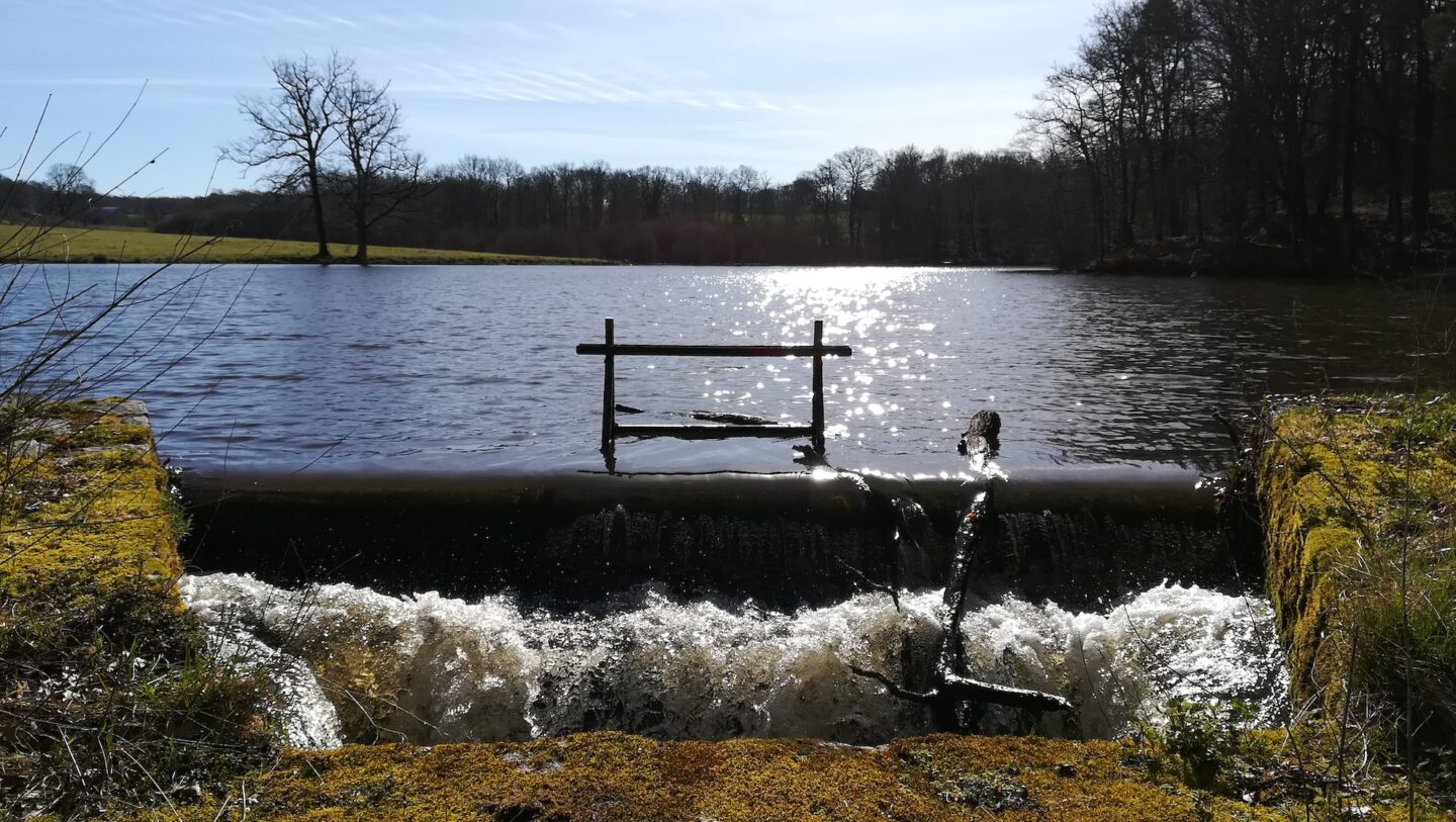 Sentier des Ifs Aureil Nouvelle-Aquitaine