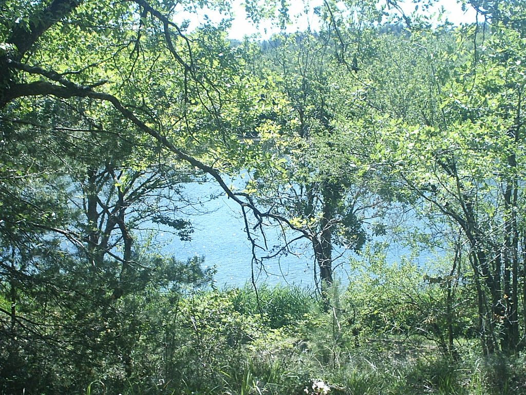 Boucle VTT Montignac-Valojoulx (N°12) Montignac-Lascaux Nouvelle-Aquitaine
