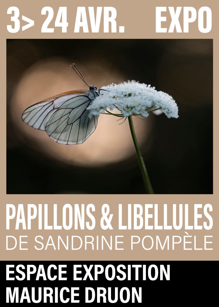 Exposition Papillons et libellules