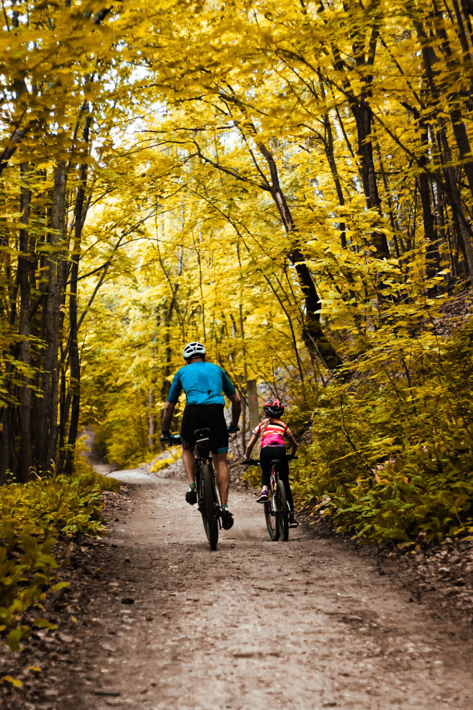 Circuit 29 Les trésors de Lapleau Lapleau Nouvelle-Aquitaine