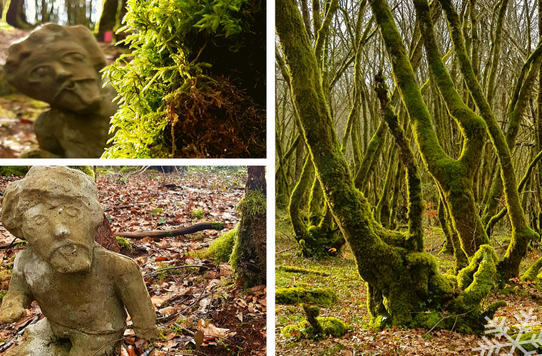 Les amoureux de la Forêt de Blanchefort Lagraulière Nouvelle-Aquitaine Les amoureux de la Forêt de Blanchefort Lagraulière Nouvelle-Aquitaine