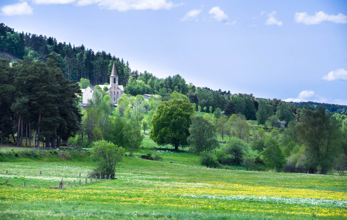 La Forêt de la Tourre Parcours n°1 Les Bessons Occitanie