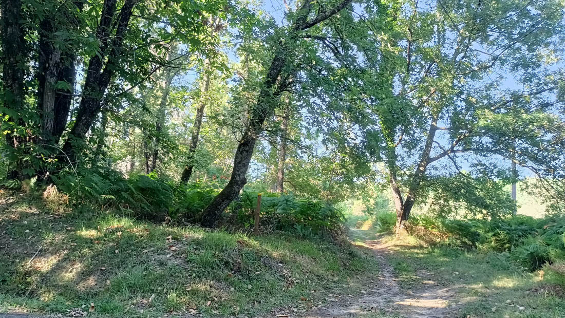 Chemin de la Forêt Lamonzie-Montastruc Nouvelle-Aquitaine