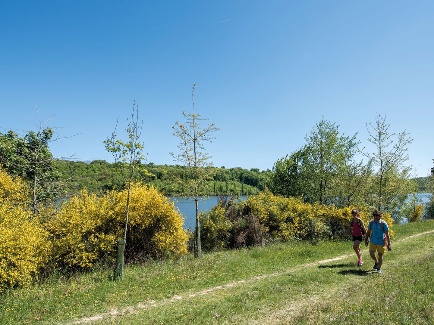 Garlin la randonnée des Pacheras Garlin Nouvelle-Aquitaine Garlin la randonnée des Pacheras Garlin Nouvelle-Aquitaine