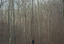 glaz festival Alec_Soth