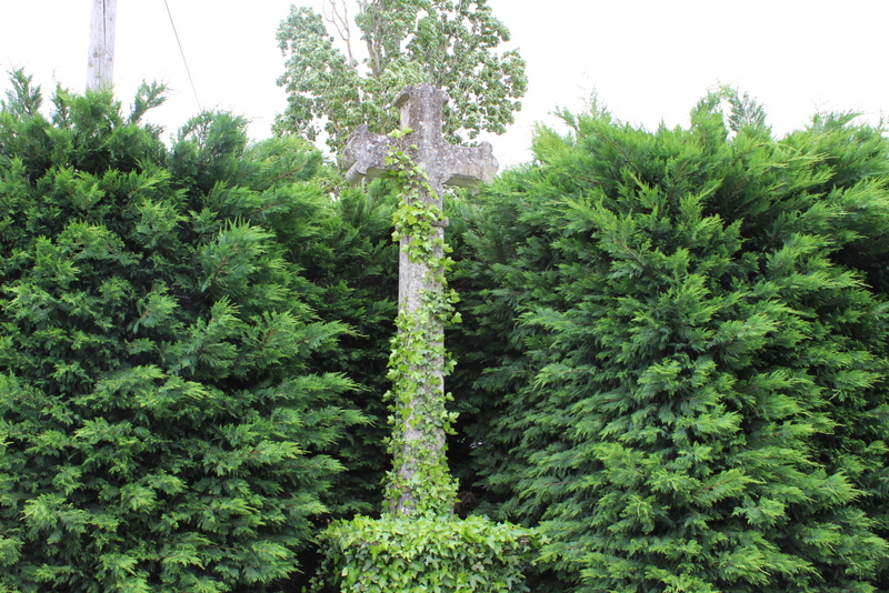 Circuit de La Tour à Les-Lèves-et-Thoumeyragues Les Lèves-et-Thoumeyragues Nouvelle-Aquitaine