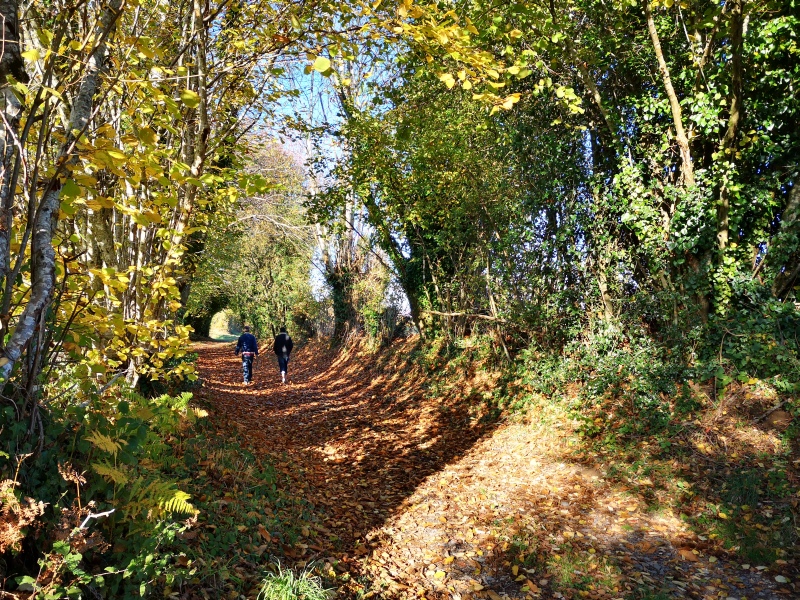 Circuit pédestre n° 89 "Sur les pas de la ligne de chemin de fer Tours-Montluçon" Vigoulant Centre-Val de Loire