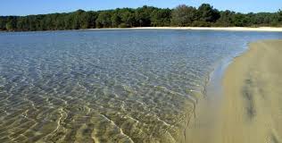 Balade à roulettes Halte nautique de l'étang de Cazaux La Teste-de-Buch Nouvelle-Aquitaine