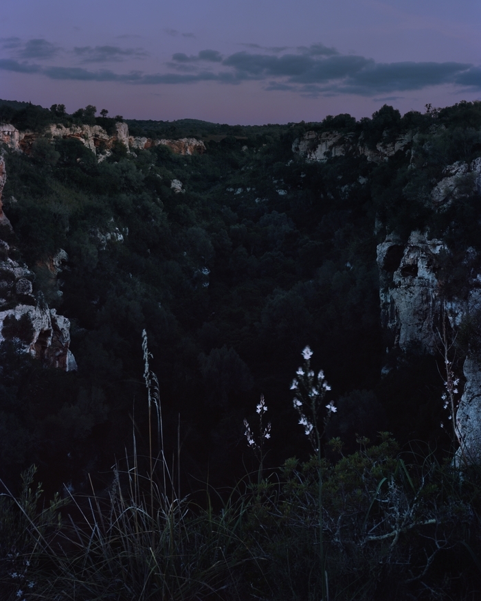 Île - Lise Gaudaire Bibliothèque - L'escalier Rennes