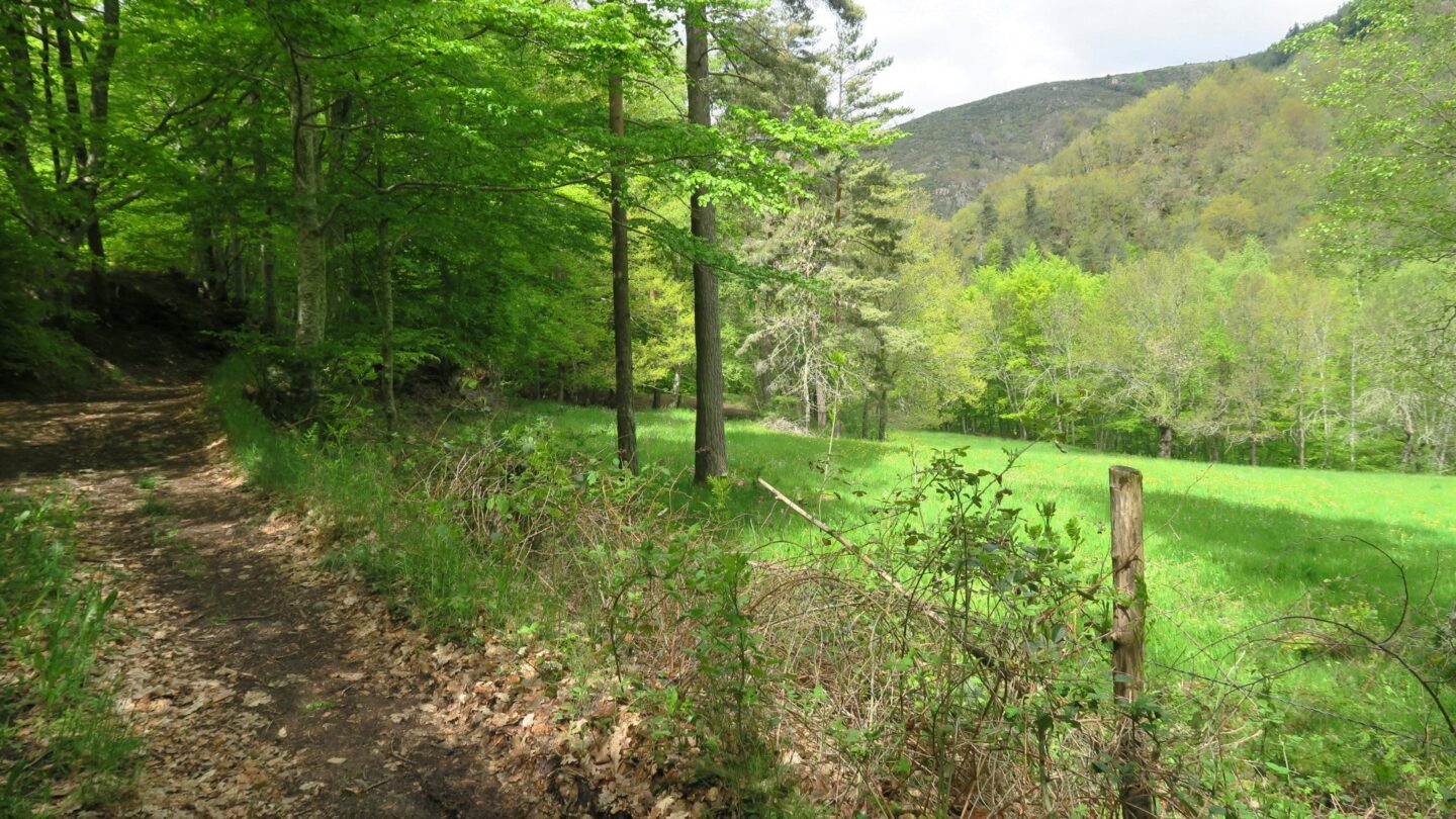 Le chemin du Bouchet Saint-Léger-de-Peyre Occitanie