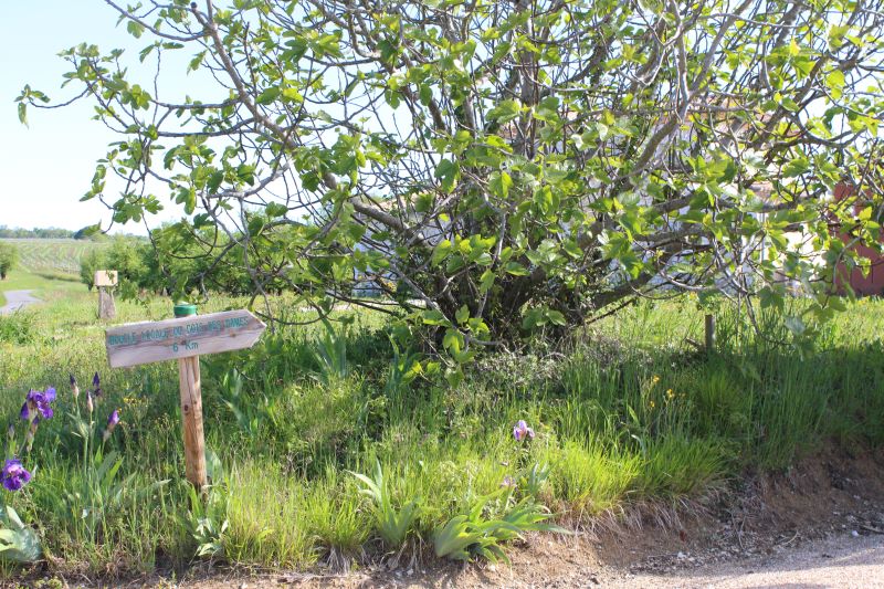 Circuit du Bois des Dames à Saint-Quentin-de-Caplong Saint-Quentin-de-Caplong Nouvelle-Aquitaine Circuit du Bois des Dames à Saint-Quentin-de-Caplong Saint-Quentin-de-Caplong Nouvelle-Aquitaine
