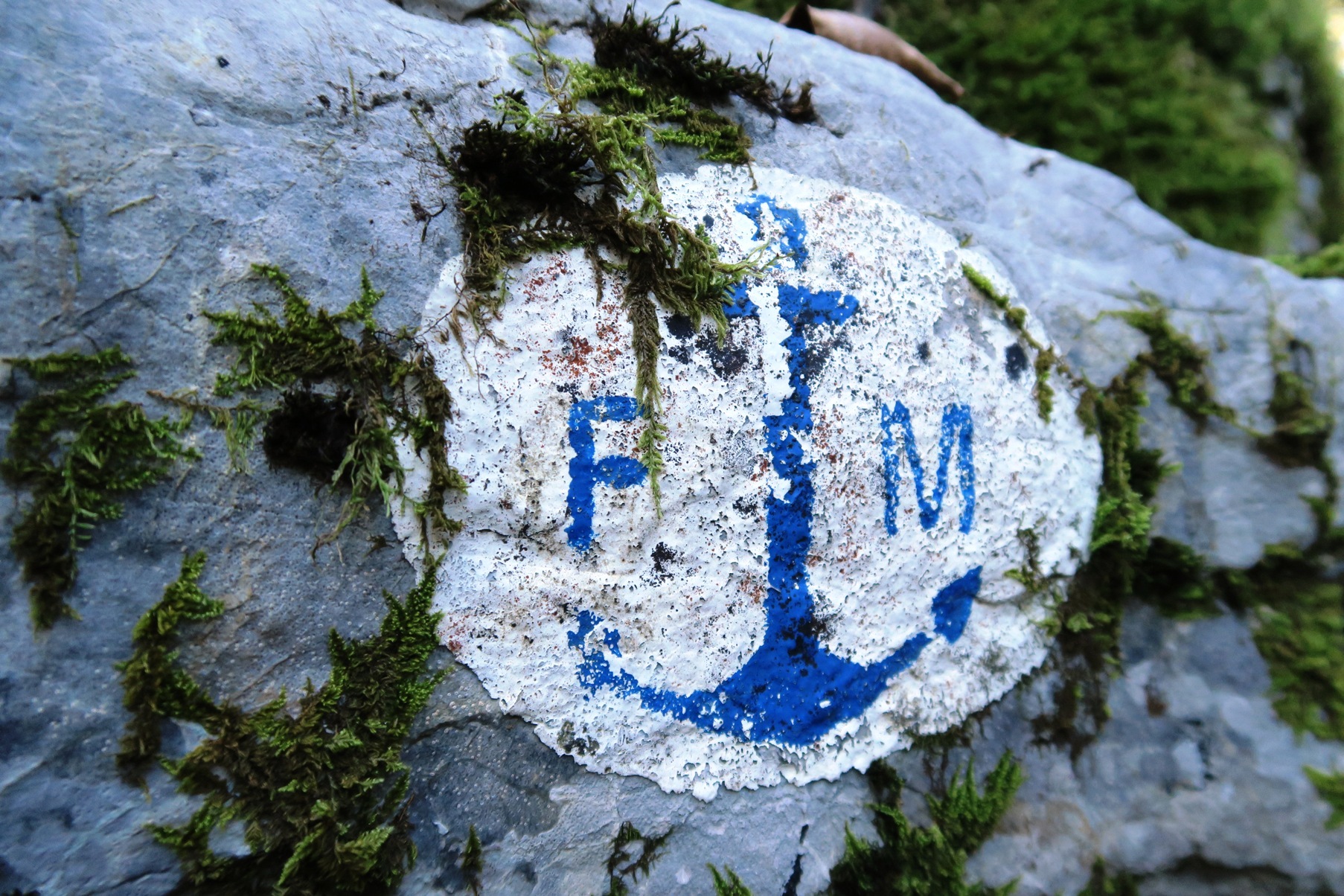 N°45 Chemin de Mâture d'Issaux Lourdios-Ichère Nouvelle-Aquitaine