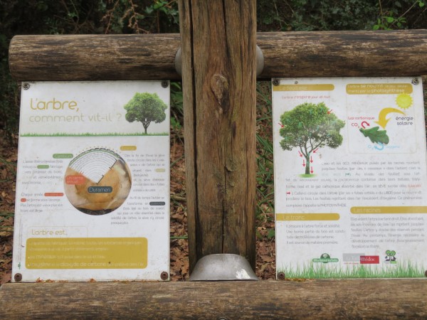 Balade à roulettes La forêt du Taillan 2 Le Taillan-Médoc Nouvelle-Aquitaine