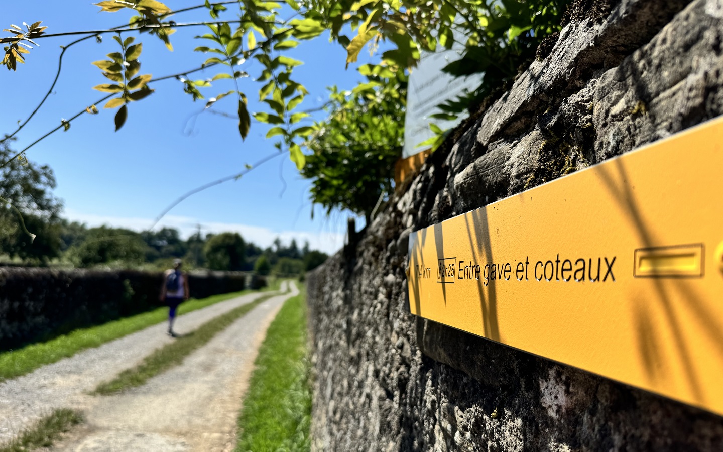 N°93 Entre gave et coteaux Saucède Nouvelle-Aquitaine