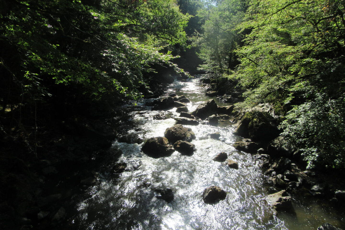 Pêcher sur l'Auvézère à Saint-Mesmin Saint-Mesmin Nouvelle-Aquitaine