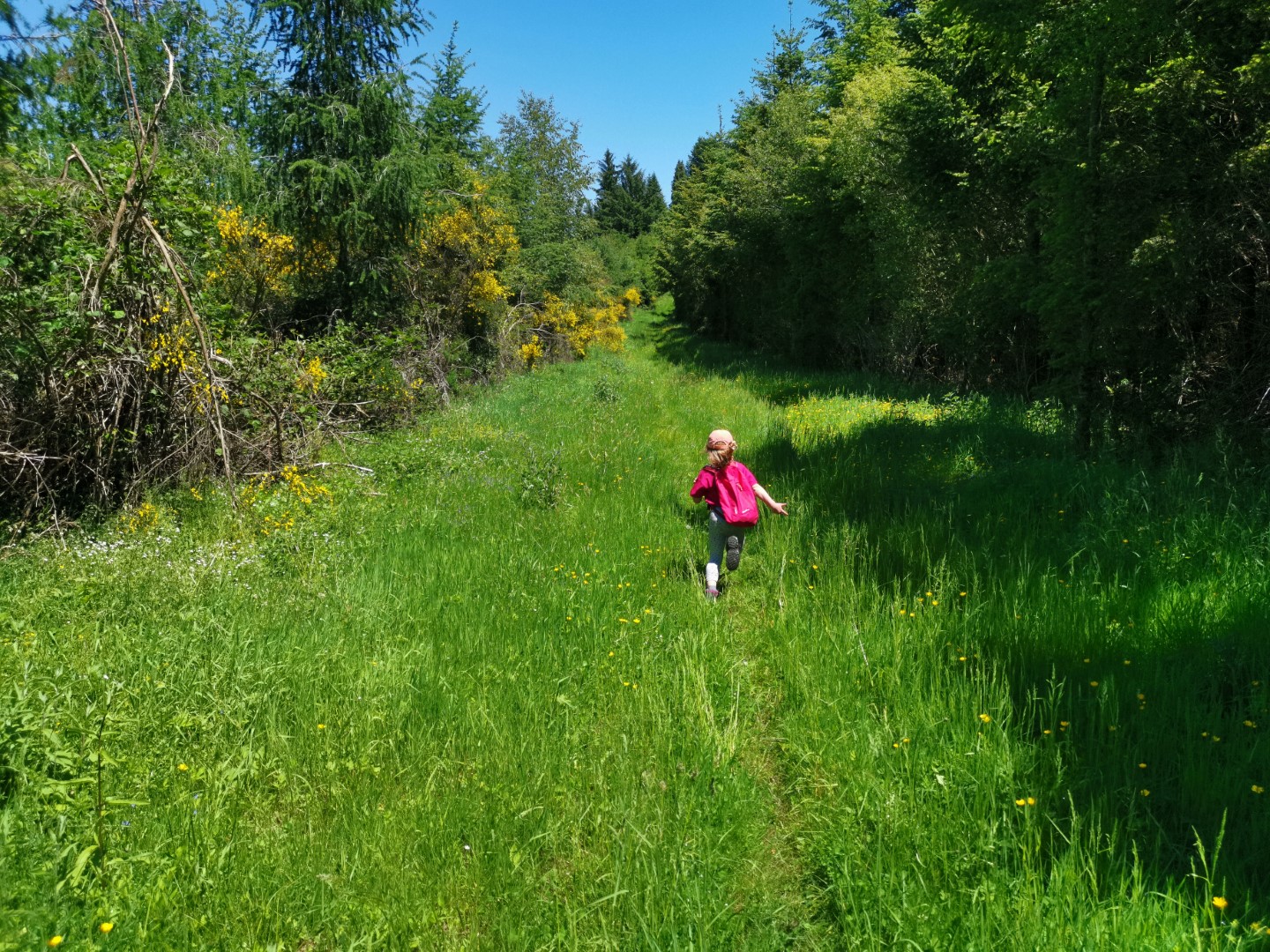 Circuit N°63 CC Sentier « Histoire et Patrimoine » Variante Ouest Saint-Amand-Jartoudeix Nouvelle-Aquitaine Circuit N°63 CC Sentier "Histoire et Patrimoine" Variante Ouest Saint-Amand-Jartoudeix Nouvelle-Aquitaine