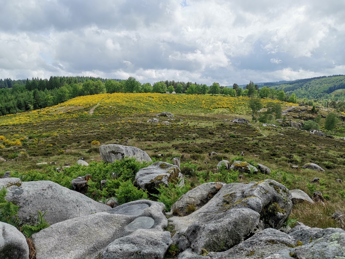 Circuit Pédestre N°22 CC "Sentier de découverte des landes et tourbières de la Mazure Grande boucle" Le Monteil-au-Vicomte Nouvelle-Aquitaine