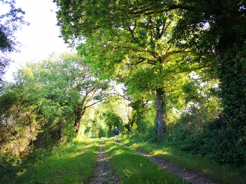 Circuit pédestre n° 111 l'évasion verte Buxières-d'Aillac Centre-Val de Loire
