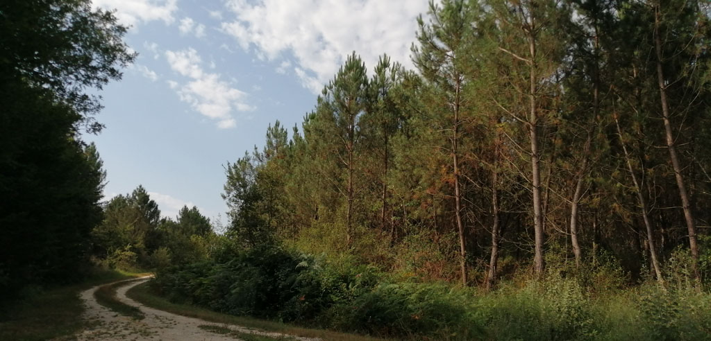 Boucle du Cluzeau Lunas Lunas Nouvelle-Aquitaine