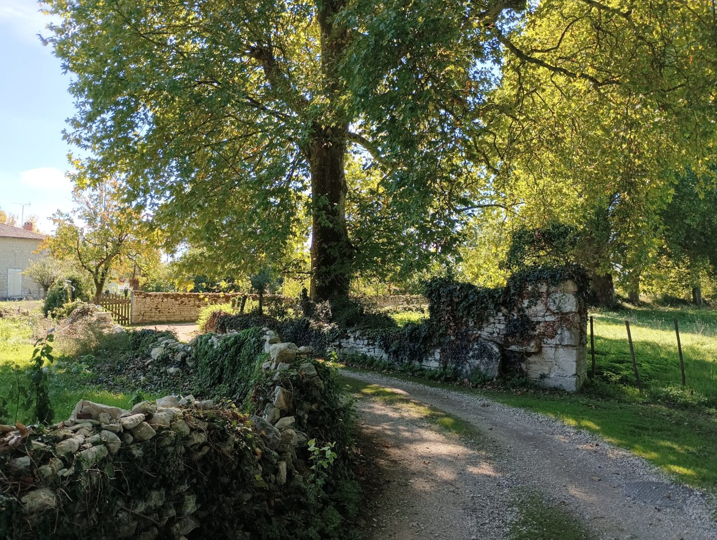 Le sentier de la Belle Périgné Périgné Nouvelle-Aquitaine