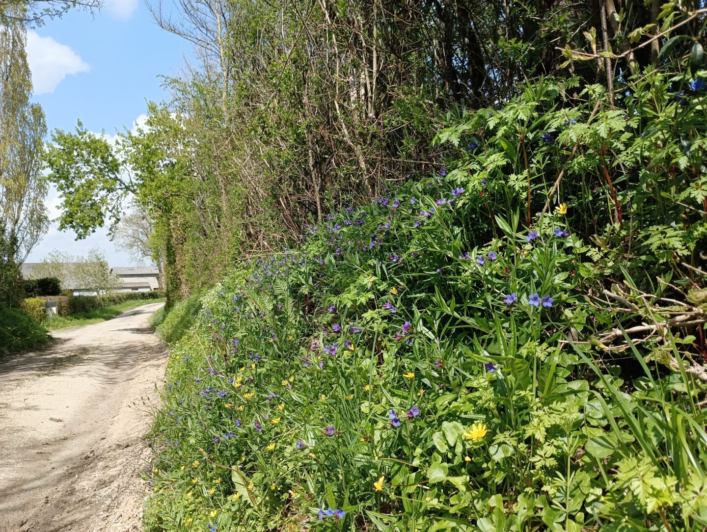 En suivant la noce Hanc Valdelaume Nouvelle-Aquitaine En suivant la noce Hanc Valdelaume Nouvelle-Aquitaine