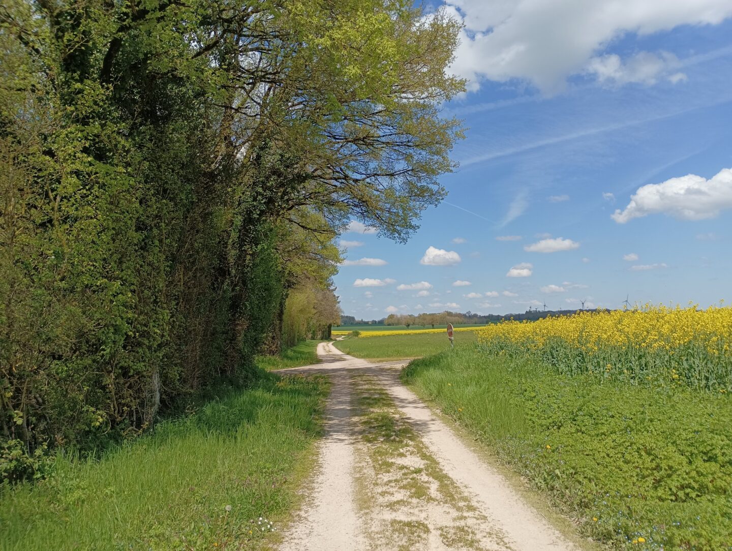Entre château et fresques- Pioussay Valdelaume Nouvelle-Aquitaine Entre château et fresques- Pioussay Valdelaume Nouvelle-Aquitaine