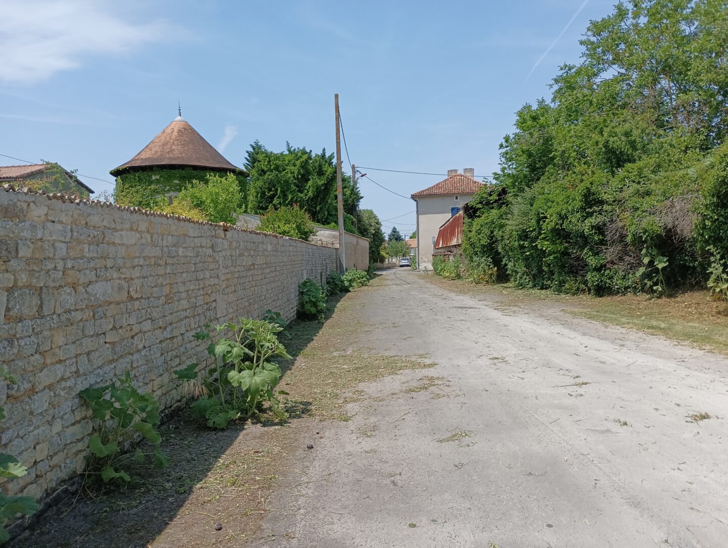 Nature cachée Chef-Boutonne Chef-Boutonne Nouvelle-Aquitaine Nature cachée Chef-Boutonne Chef-Boutonne Nouvelle-Aquitaine