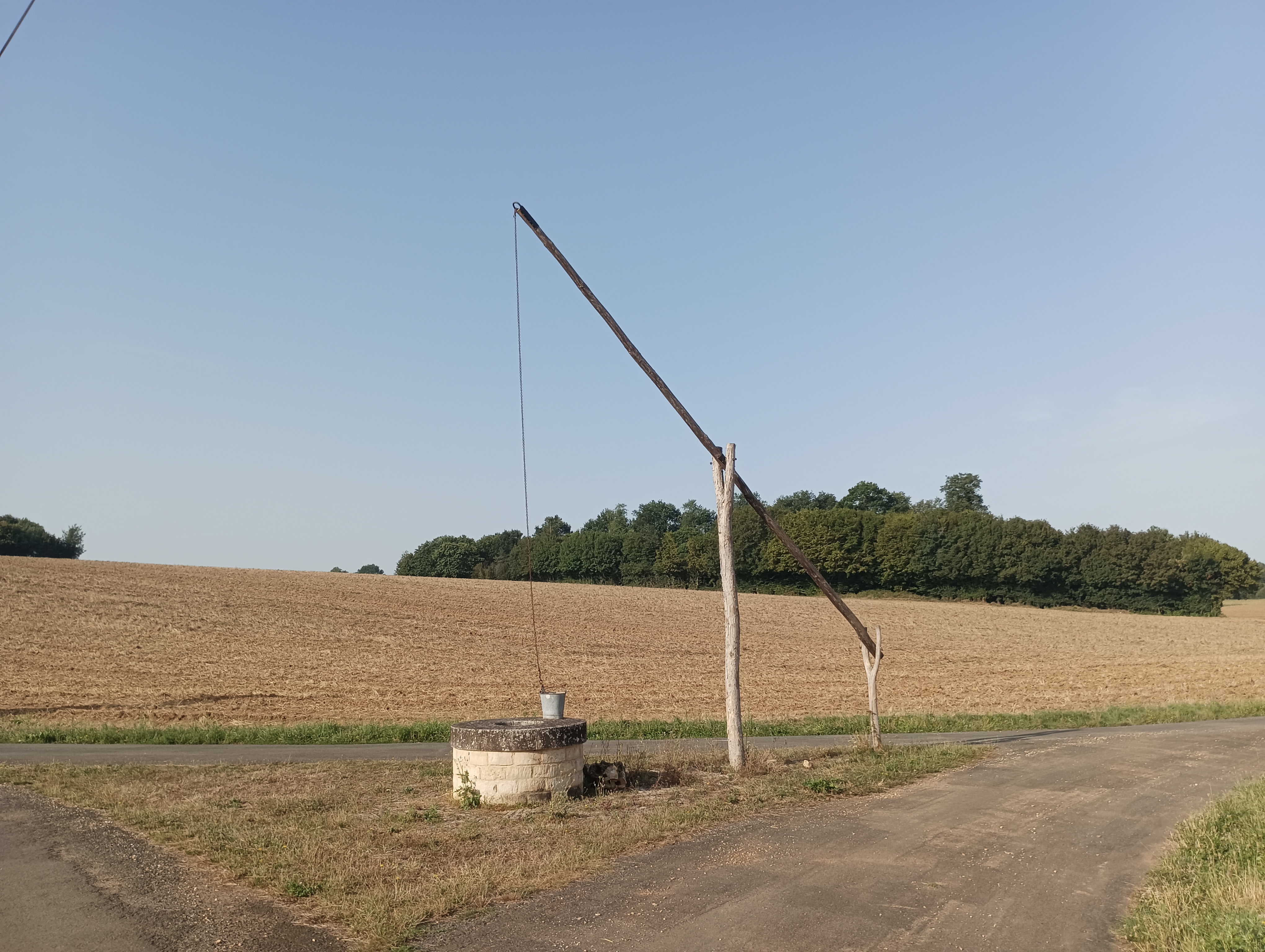 La balade sauvage Lorigné Lorigné Nouvelle-Aquitaine