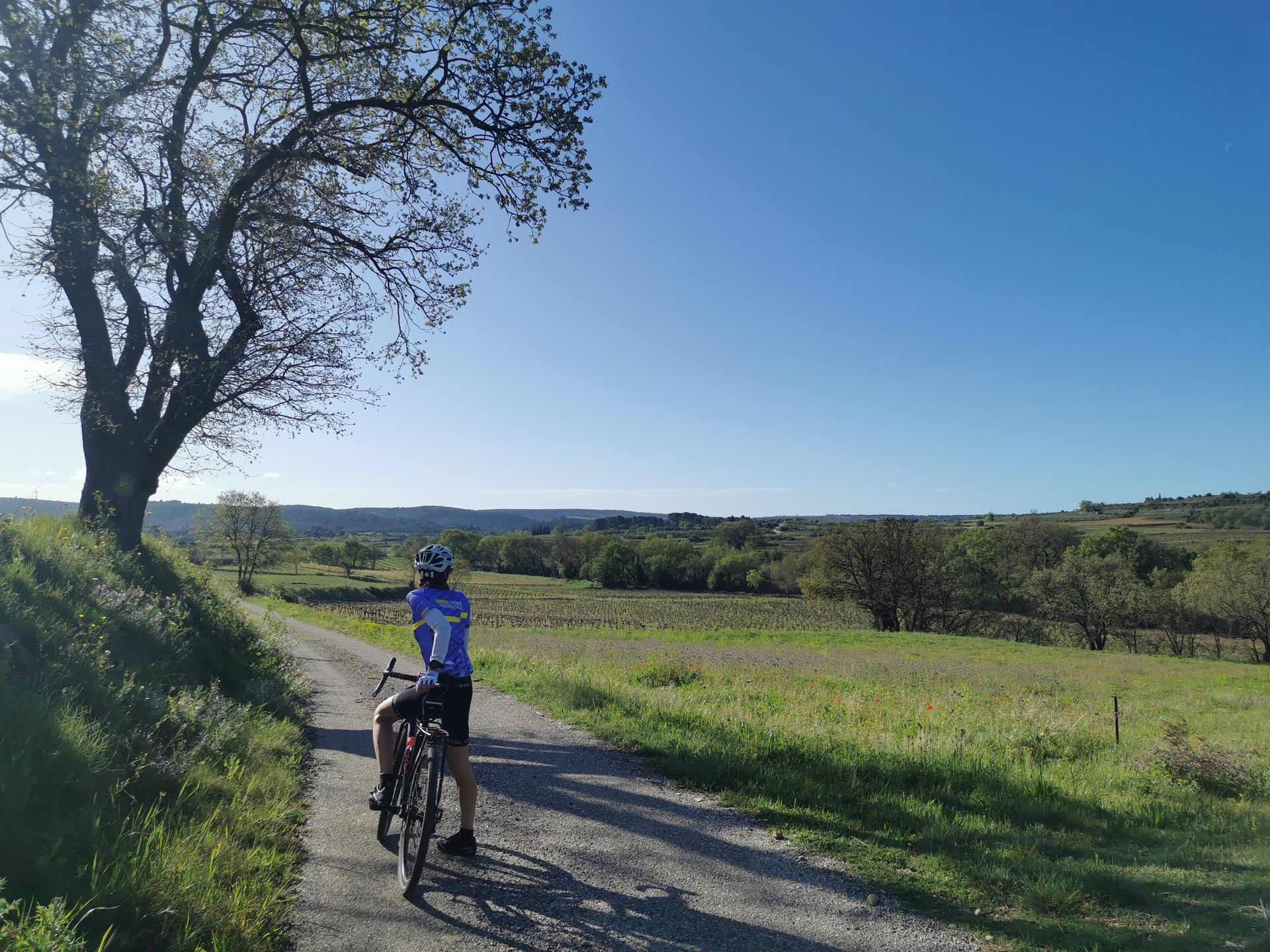 OENOVÉLO 2 VIGNOBLES & GORGES DE L’HÉRAULT Gignac Occitanie