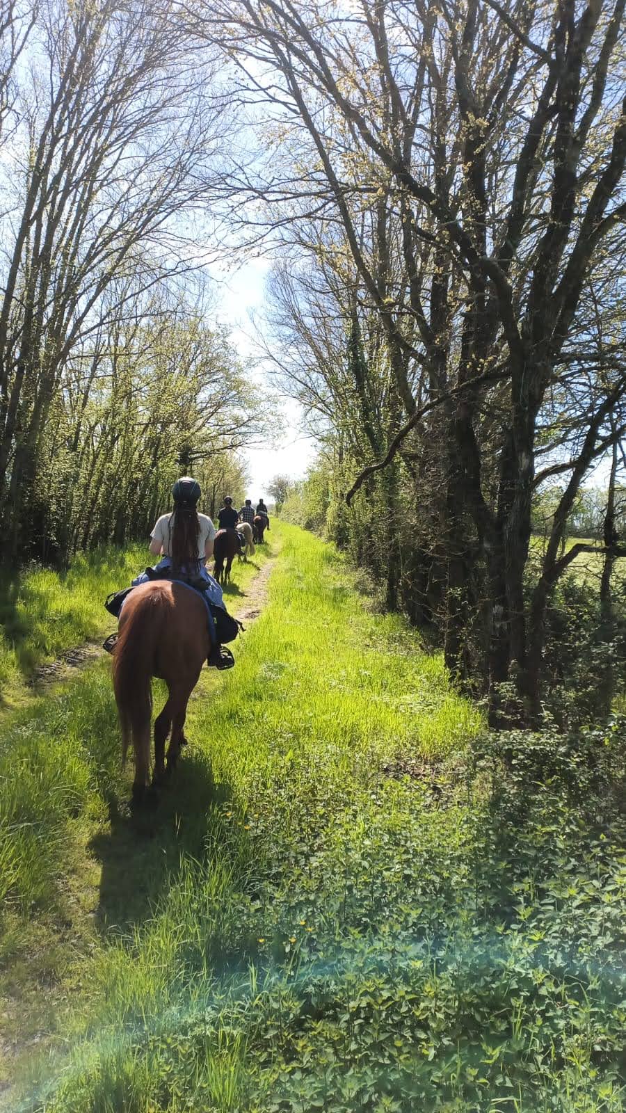 Route des Cardinaux Sérigny Nouvelle-Aquitaine