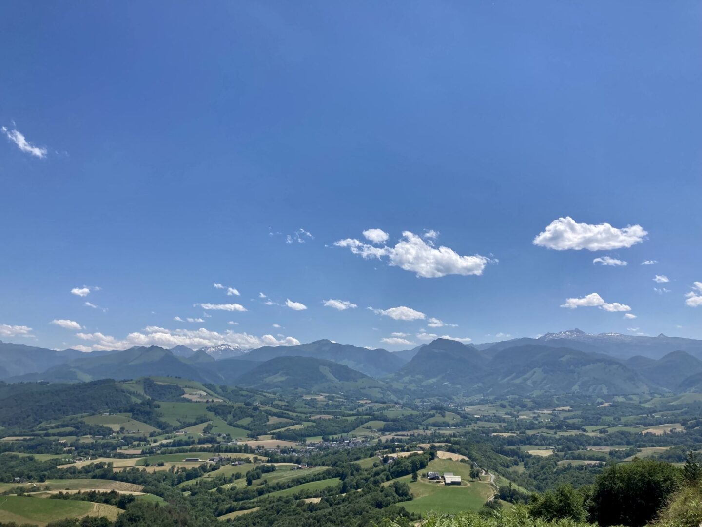 N°7 Barétous Bois de Gouloume Aramits Nouvelle-Aquitaine