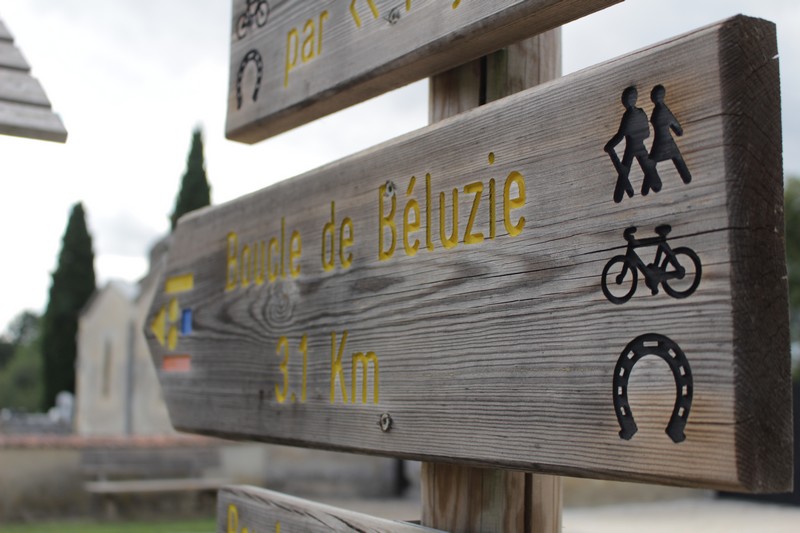 Boucle de Béluzie Sainte Foy des Vignes Ginestet Ginestet Nouvelle-Aquitaine