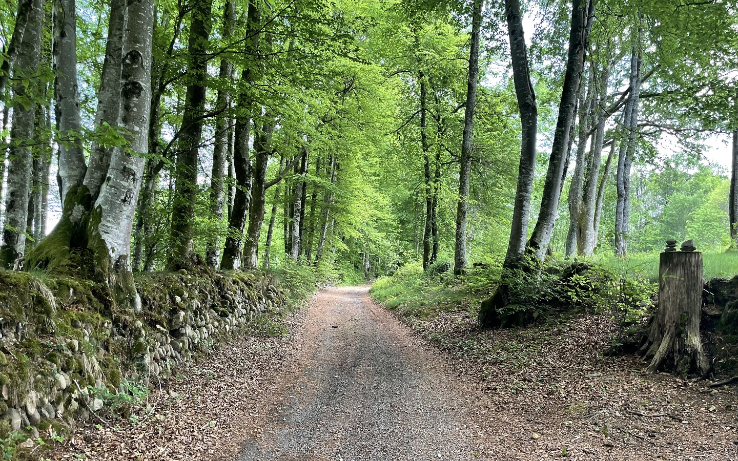 N°89 Le Bédat Herrère Nouvelle-Aquitaine