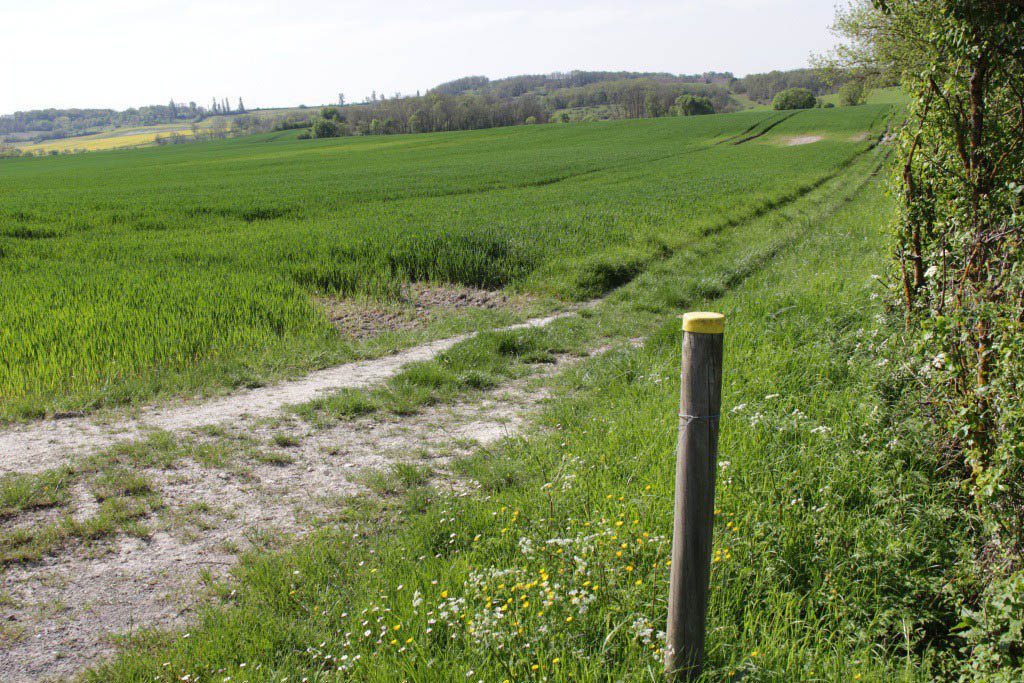 Pêcher à l’Etang Lescouroroux à Eymet Boucle de Saint Julien d’Eymet Saint-Julien-Innocence-Eulalie Nouvelle-Aquitaine Pêcher à l'Etang Lescouroroux à Eymet Boucle de Saint Julien d'Eymet Saint-Julien-Innocence-Eulalie Nouvelle-Aquitaine