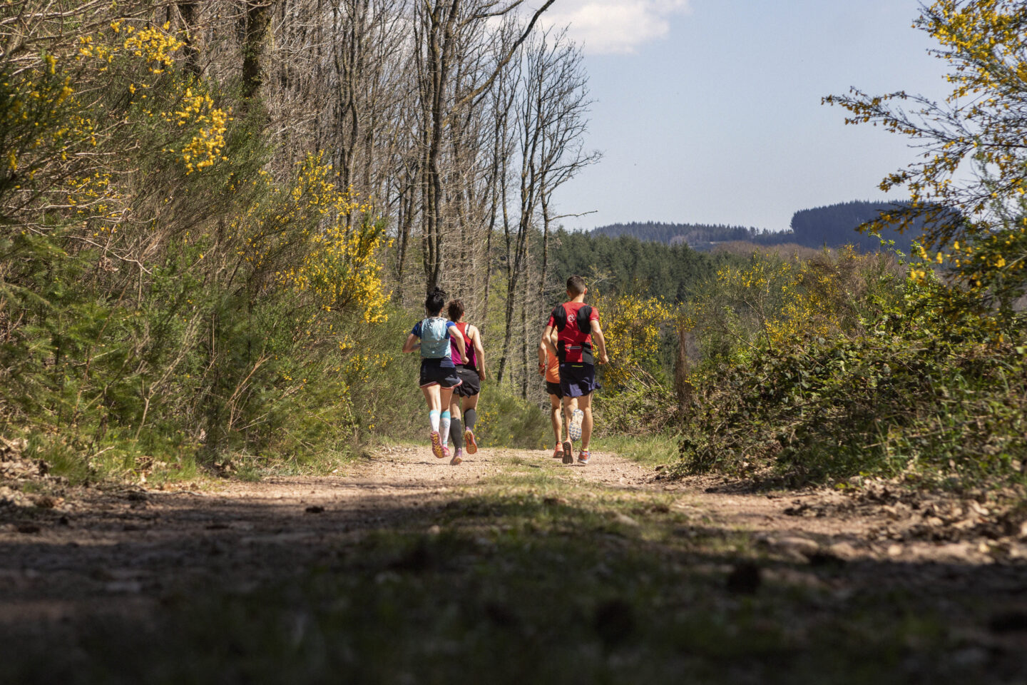 Circuit de Trail: Boucle n°1 de Lormes Lormes Bourgogne-Franche-Comté