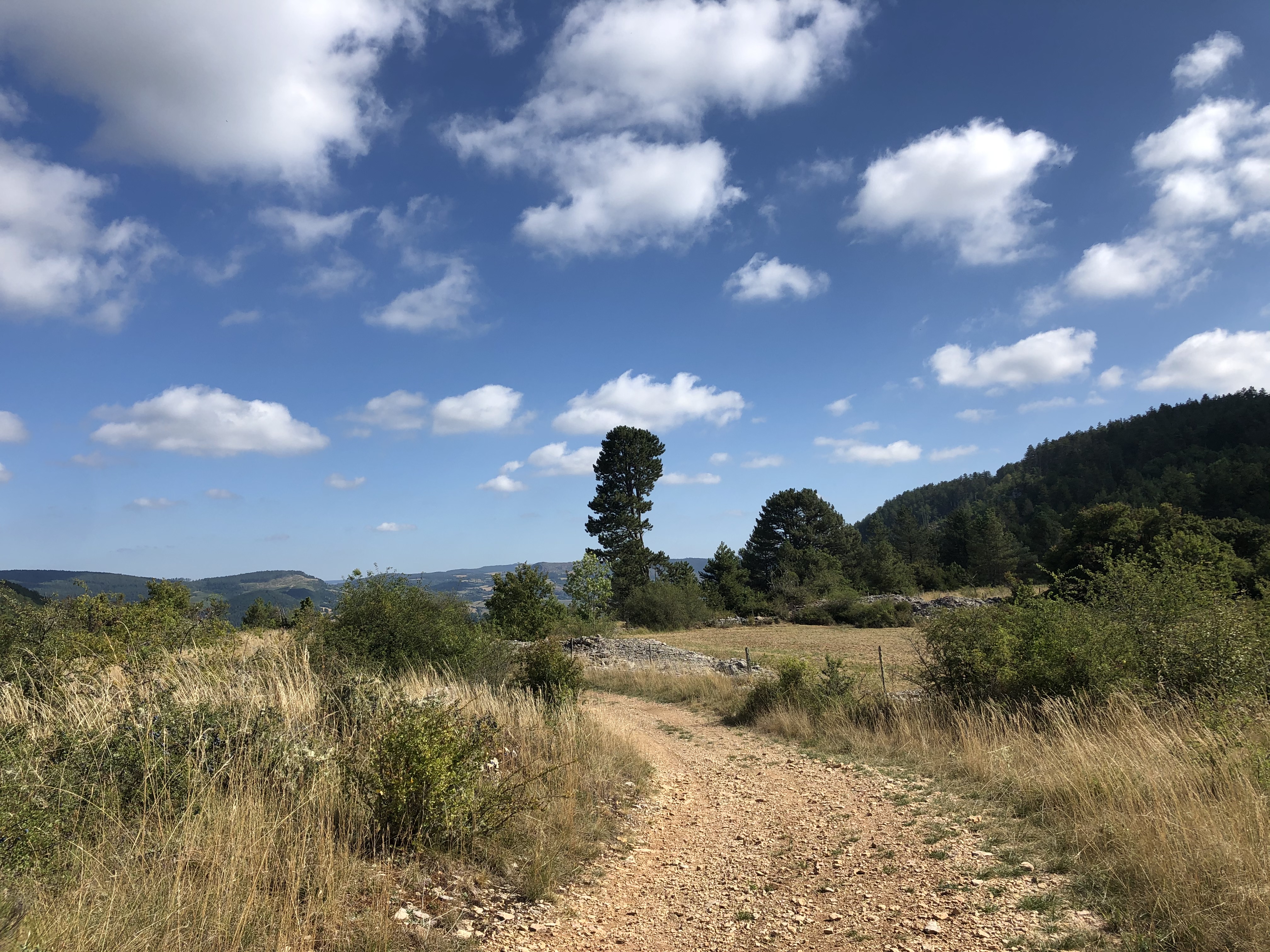 CAUSSE DE SAUVETERRE DIRECTION LA BASTISSE ET LES ARTS Chanac Occitanie