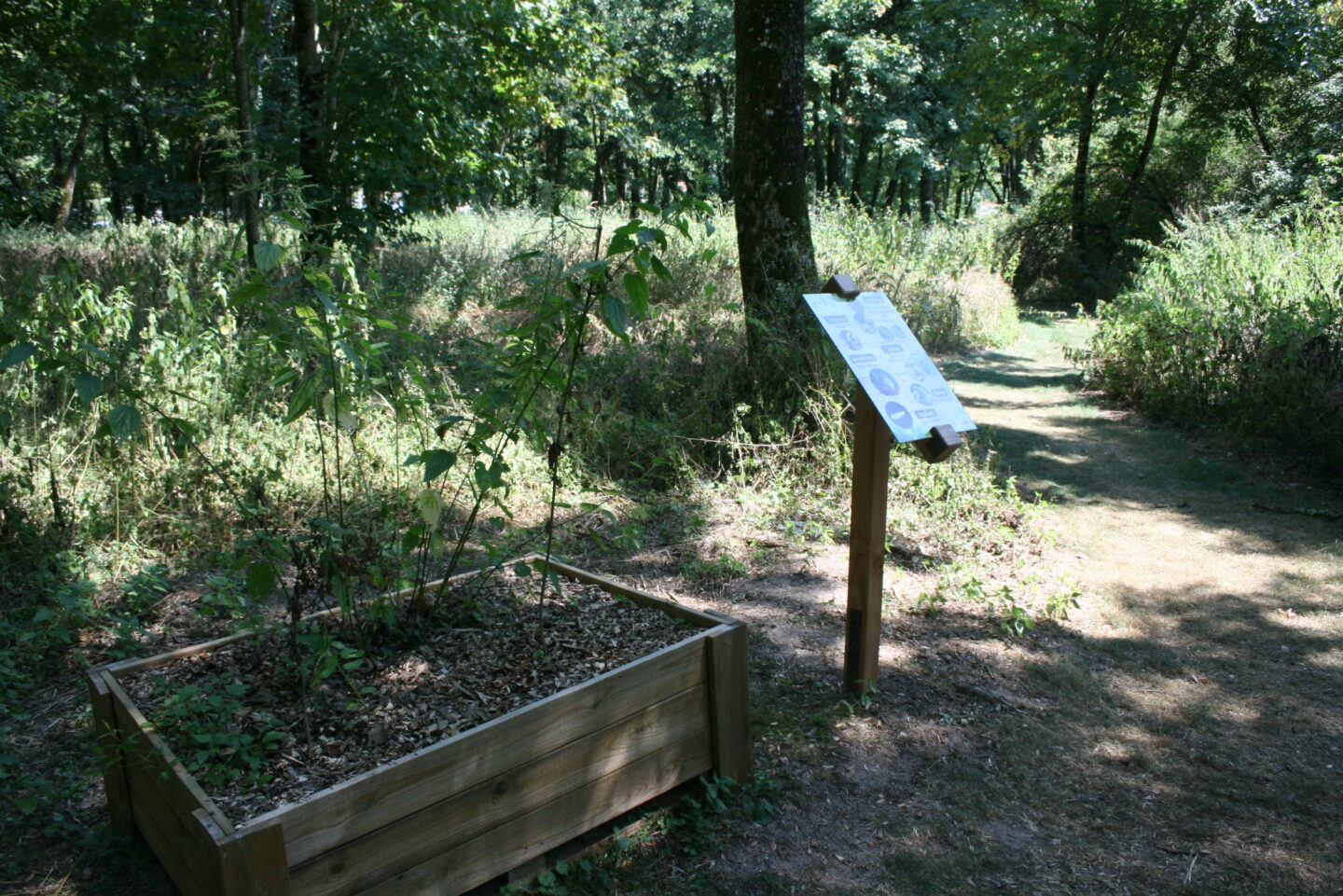 Sentier sensoriel de l'île de Caqueret Decize Bourgogne-Franche-Comté