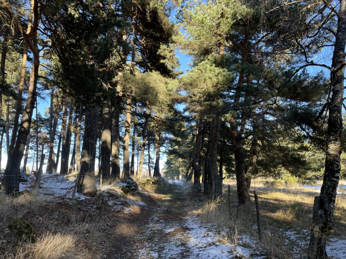 La Croix Blanche Rocles Occitanie