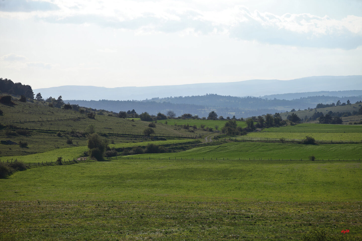 SENTIER LES DEUX FERMES DU CAUSSE NOIR Meyrueis Occitanie