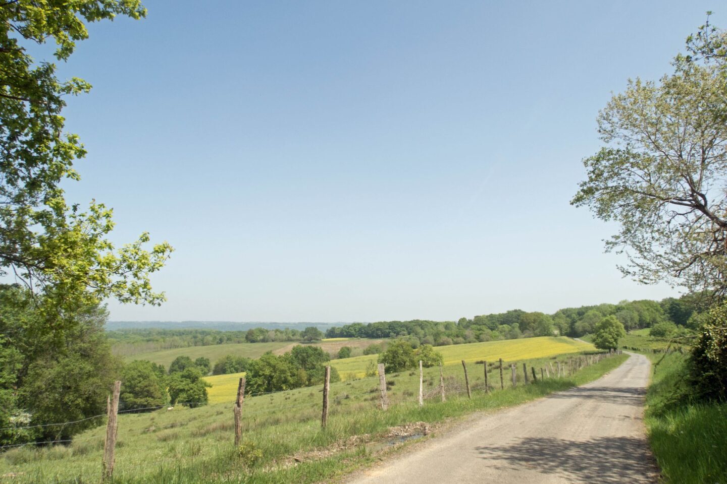 N°81 Les Coteaux de Joos Geüs-d'Oloron Nouvelle-Aquitaine