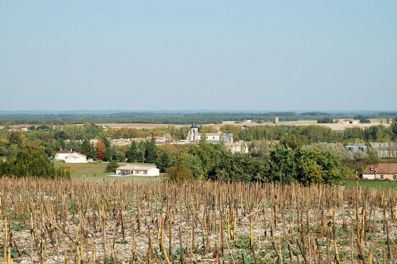 A l'affut de la faune sauvage