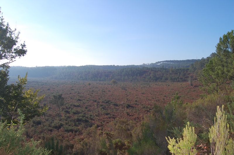 A Vielle-Saint-Girons