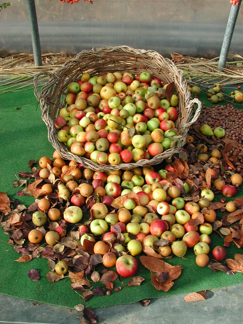 Sur les terres de Montesquieu