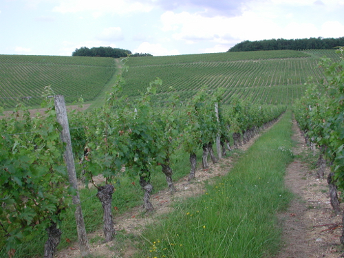 Brazalem et Limon Brazalem et Limon