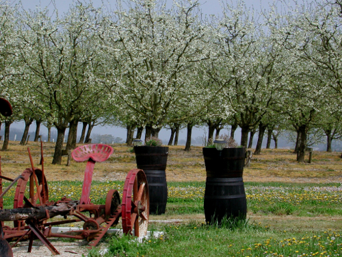 Saint-Astier-de-Duras