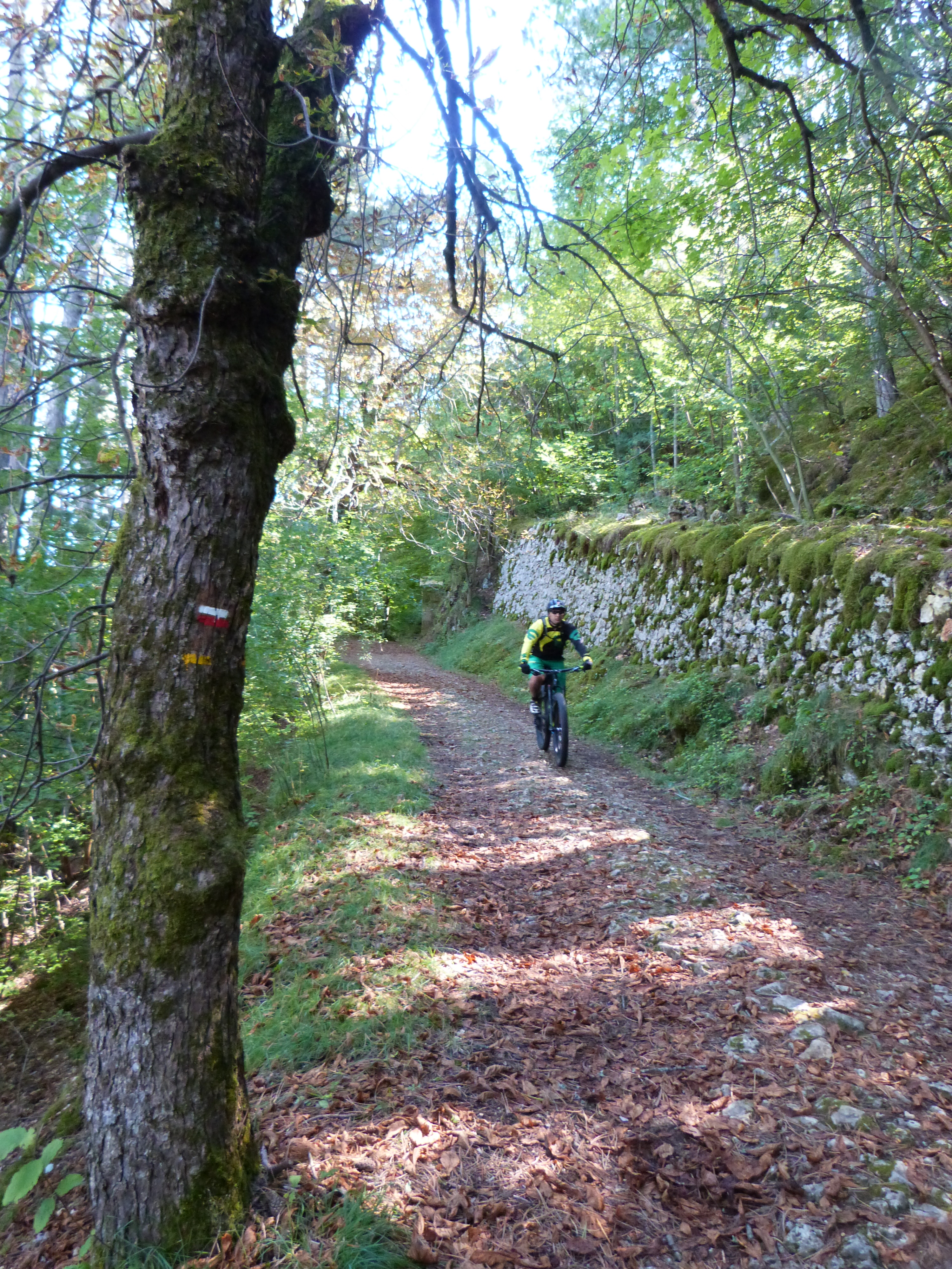 SUR LES TRACES DE STEVENSON Langogne Occitanie